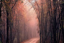 浙江稠州队勇夺关键胜利唤醒信心